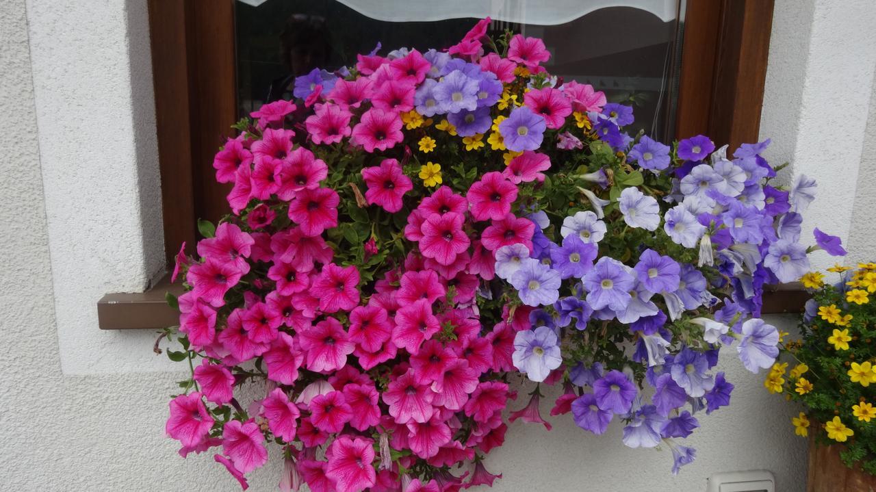 Garni Gimea Hotel Livigno Buitenkant foto